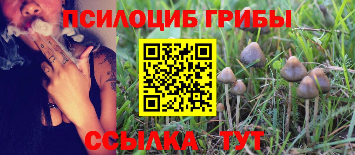 что такое наркотик  Псилоцибиновые грибы прущие грибы  Вход с VPN  Псилоцибиновые грибы мицелий  Лесозаводск 